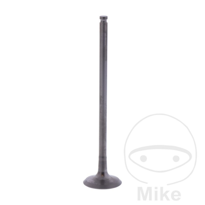 Scape klep OEM 747.16.55