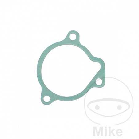 oil filter gasket