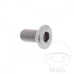 šroub pro brzdový kotouč oem m8x1.25x15mm