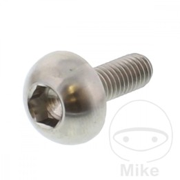 skrue til bremseskive m6x1.00 mm 17 mm titan