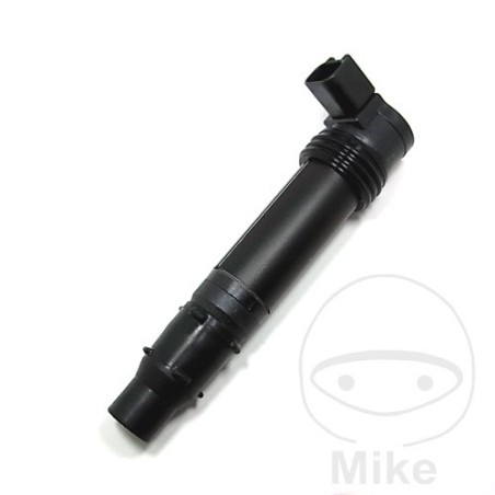 ignition coil with spark plug