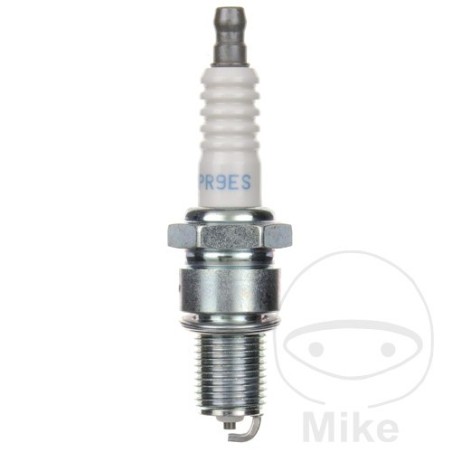 spark plug with fixed terminal bpr9es sae