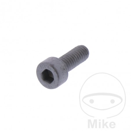 vis de fixation du pignon oem
