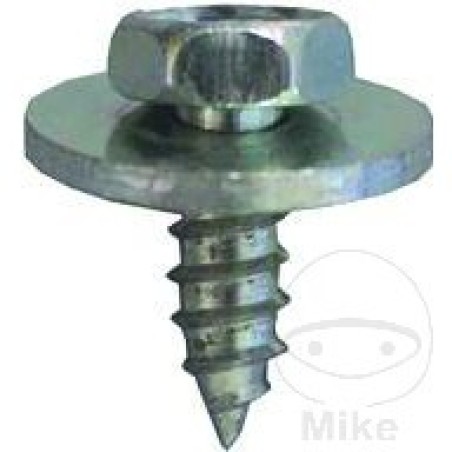 pack 10 tornillos 7976