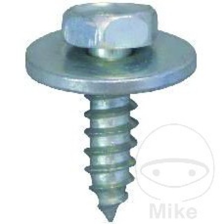pack 10 tornillos 7976