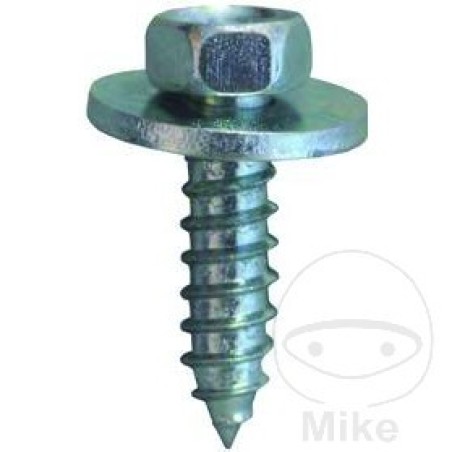 pack 10 tornillos 7976