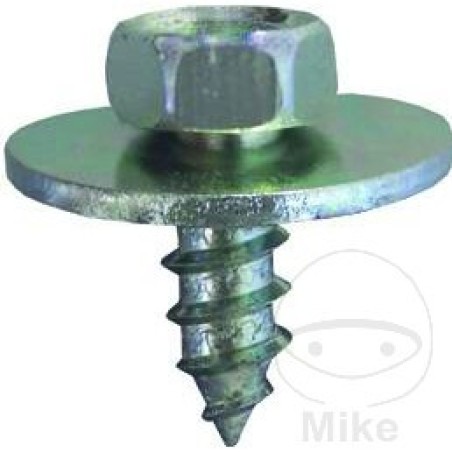 pack 10 tornillos 7976