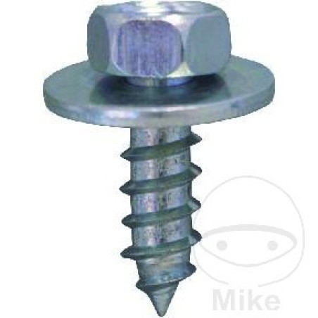 pack 10 tornillos 7976