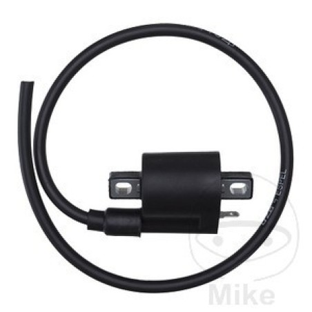 zündspule 12v