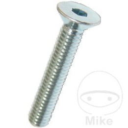 pack 100 vis à tête fraisée m8x40 mm