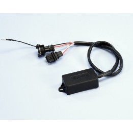 elektronisk styreenhed ecu