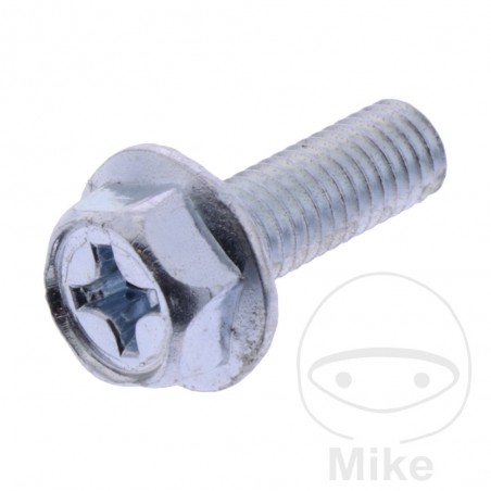 pack 10 tornillos de escape m6