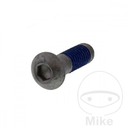 tornillo para disco de freno oem m6x1.0 20 mm