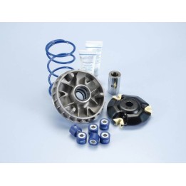 variator