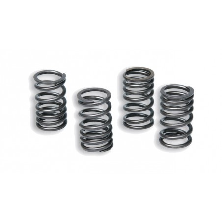 clutch spring kit