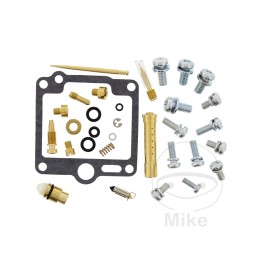 complete carburetor repair kit