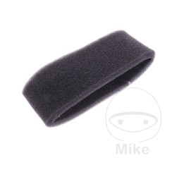 filtre d'aire d'escuma oem (rec original)