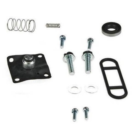 kit reparacion grifo de gasolina
