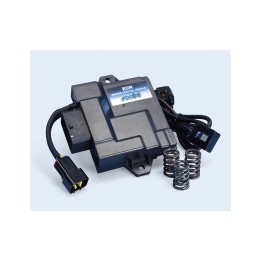 centralita electronica ecu