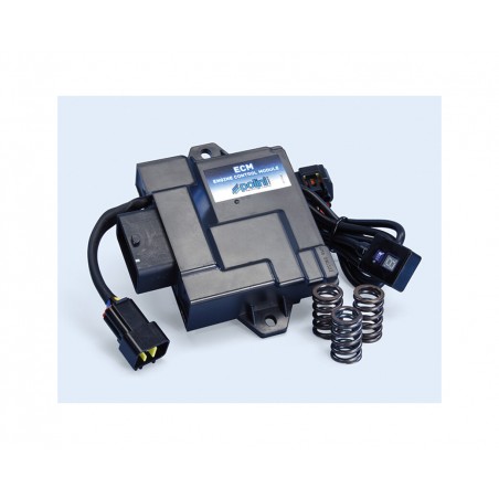 electronic switchboard ecu