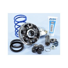 variatore completo hi-speed evo piaggio d16-12,5º 241.748