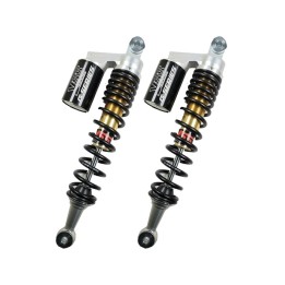 amortiguadores traseros gas eco line