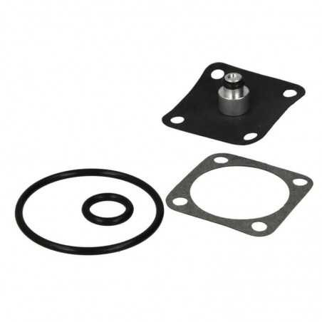 petrol faucet repair kit