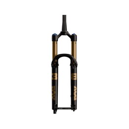 konisk suspensionsgaffel 38 k 29 f-s 170 grip x2