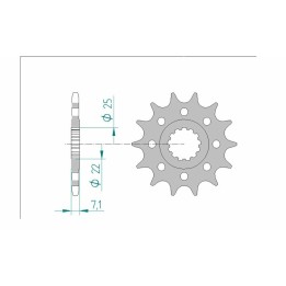pinion oțel standard 24511 520