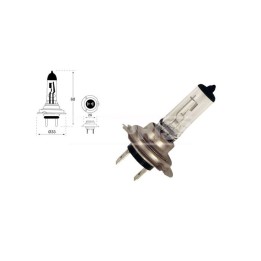 lampadina per camion h7 24v 70w