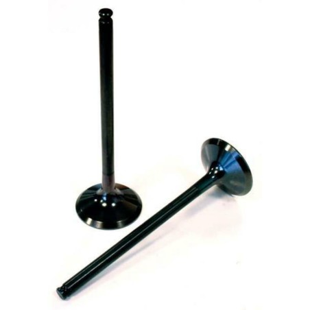titanium intake valve