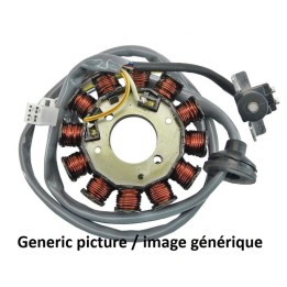 stator alternator coil