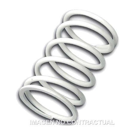 driven pulley spring blanco