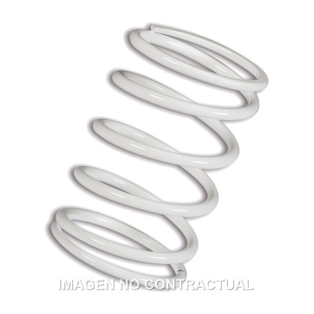 driven pulley spring blanco