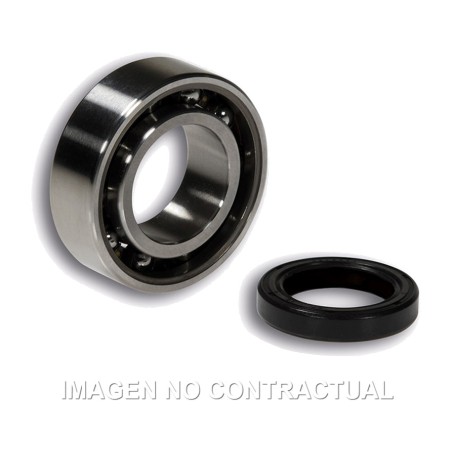 kit di cuscinetti e selle oleose