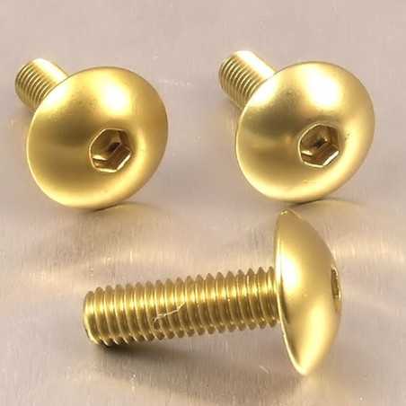 tornillo de aluminio cabeza redondeada  m6 x (1.00mm) x 20mm oro lfb620g