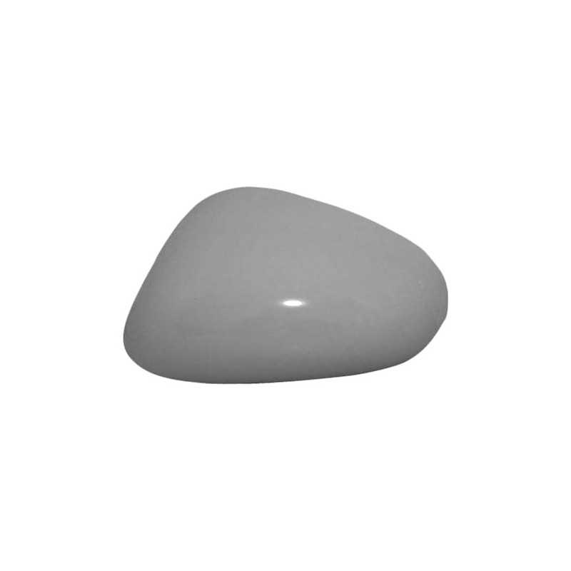 IPARLUX Carcasa espejo retrovisor izquierdo 41854321