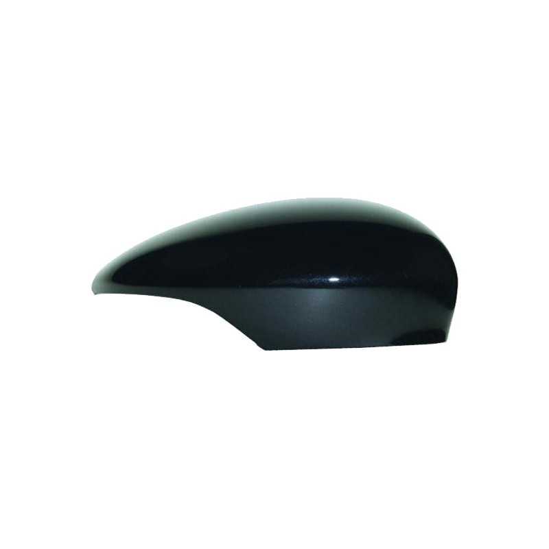 Flashing right rearview mirror housing