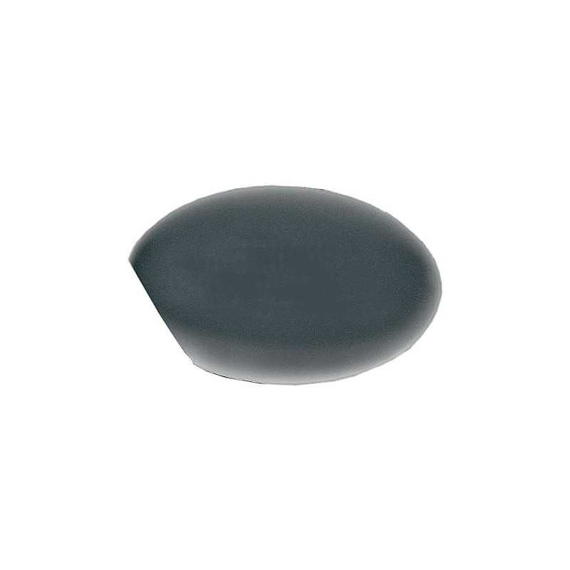 Rear view mirror casing left