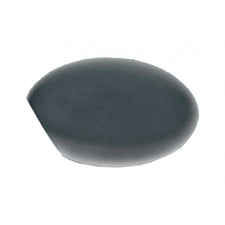 Rear view mirror casing left