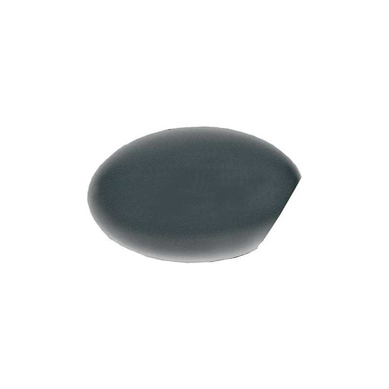 Rear view mirror casing right