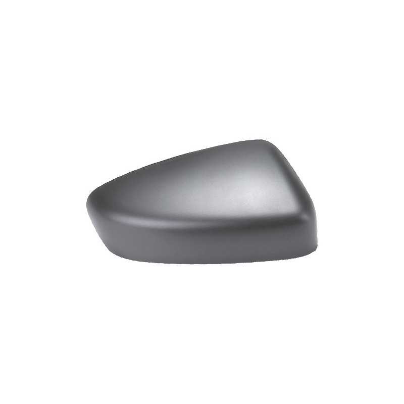 Left rearview mirror housing primed