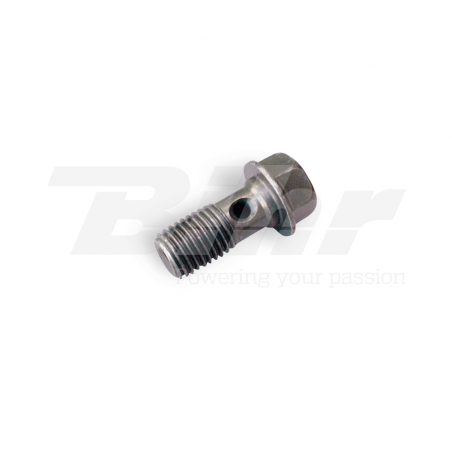 tornillo de banjo simple