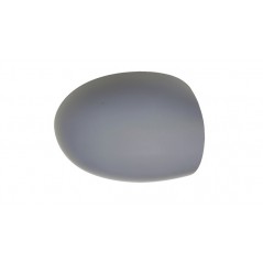 Right rear view mirror housing primed
