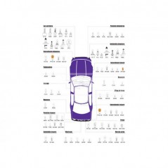 CARPRISS Estuche 2 lámparas luz coche 60% H-4 XENON 12V 60/55W 70721062