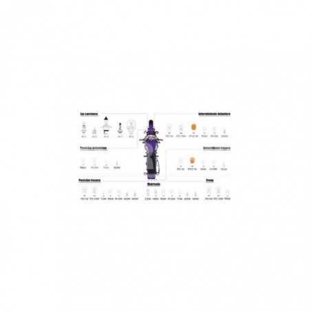 CARPRISS Lámpara bombilla descarga XENON D1S 85V 35W (1U) 70721101