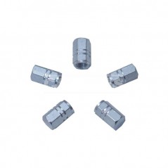 CARPRISS Kit of 5 aluminum valve caps 72216009