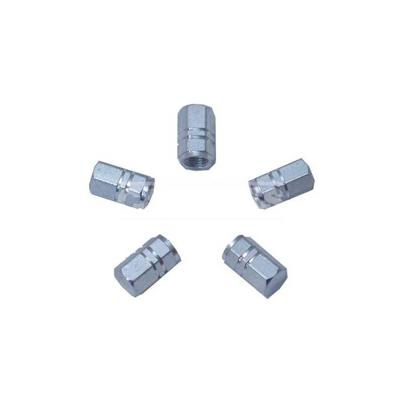 CARPRISS Kit of 5 aluminum valve caps 72216009