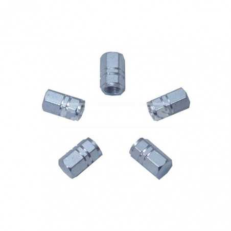 CARPRISS Kit of 5 aluminum valve caps 72216009