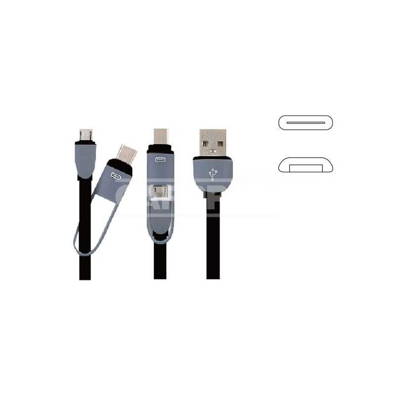 CARPRISS Charging cable MICRO USB TYPE C 1 M 79620041